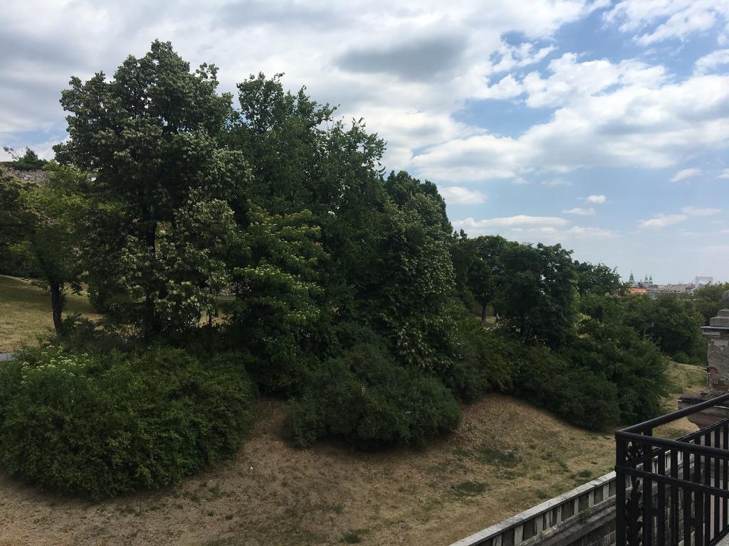 Castel View Apartment Budapest Bagian luar foto